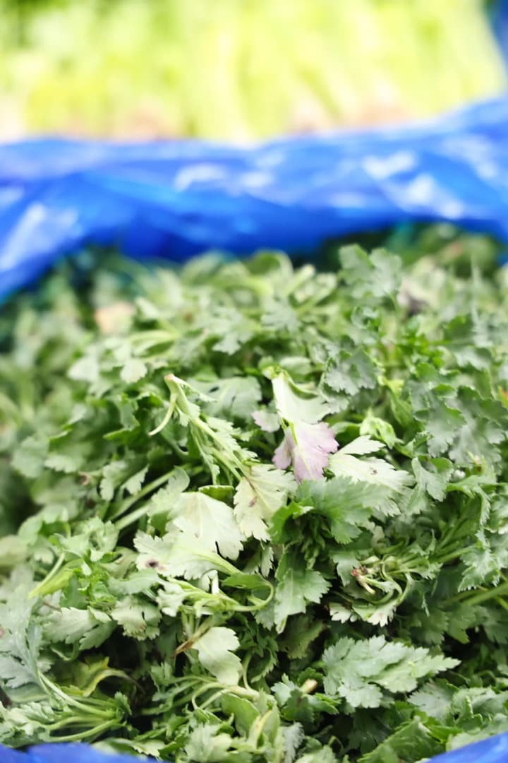 雨水节气"七头一脑"上新，哪一道是你的菜？