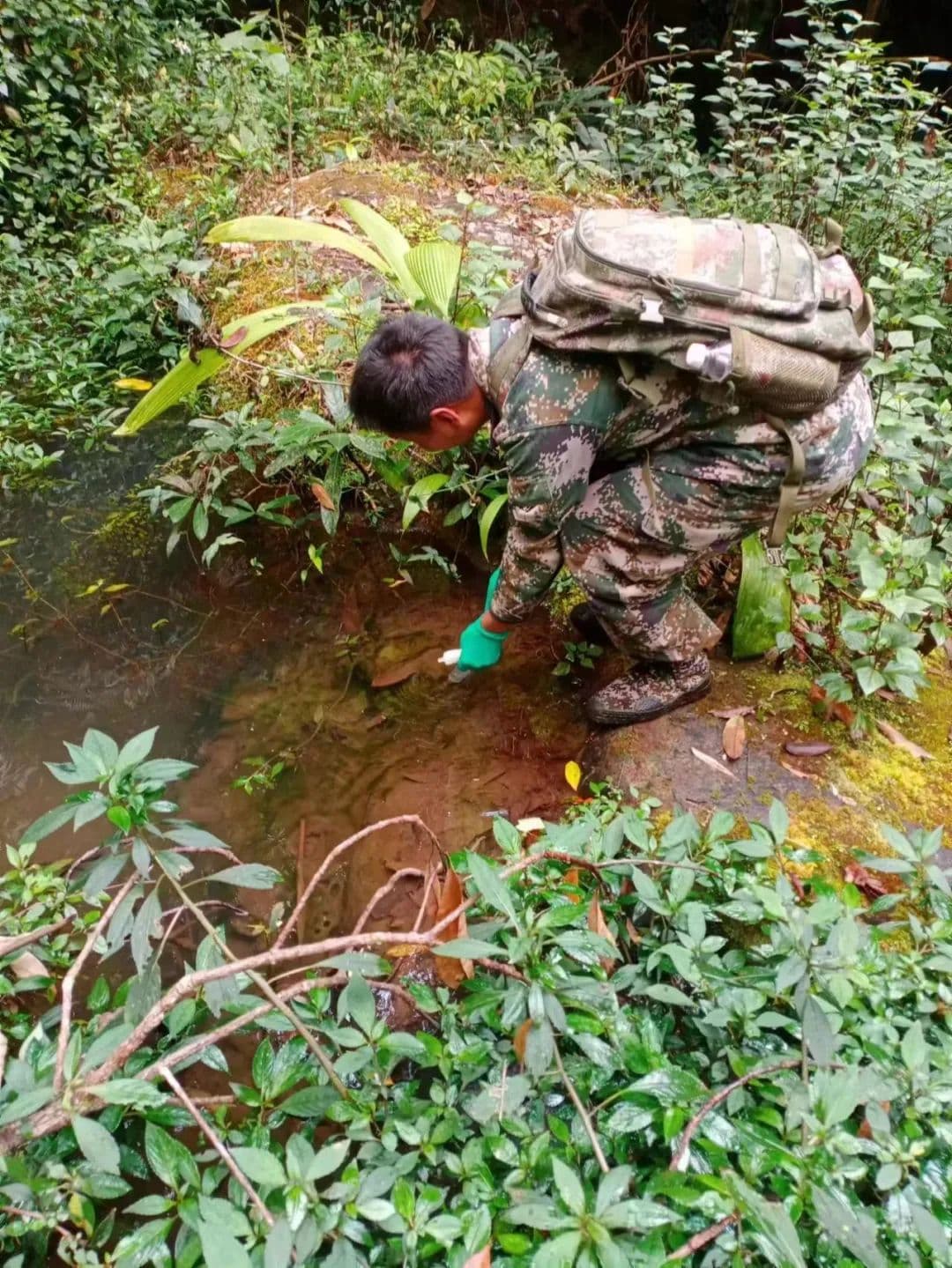 生物多样性汤是一碗什么“汤”？