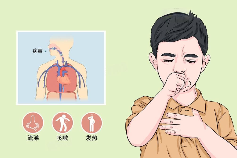 乙流是新冠吗？一文详解两者区别