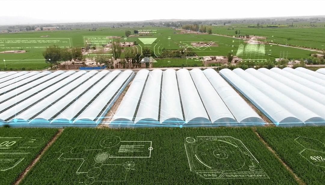 作物生长模型：探索植物生长发育的规律