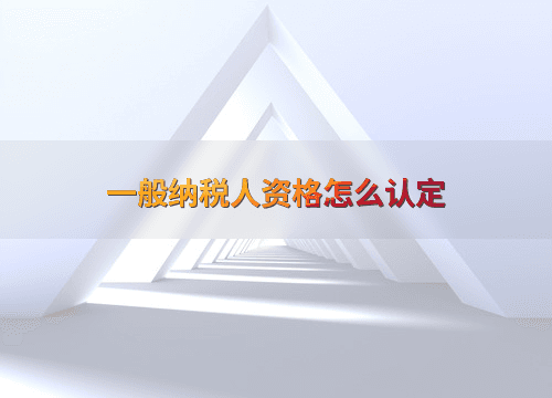 一般纳税人资格怎么认定