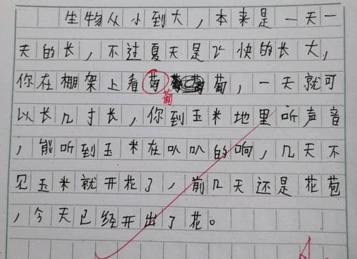 仿写为什么作文？