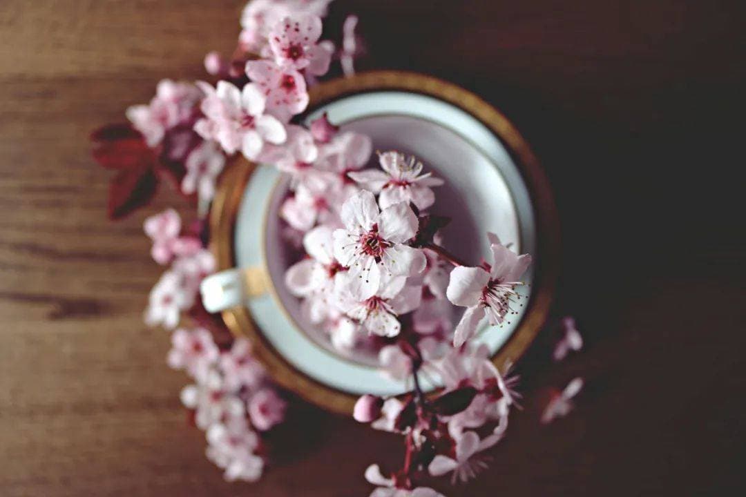 这是我见过写「负面情绪」最好的文章