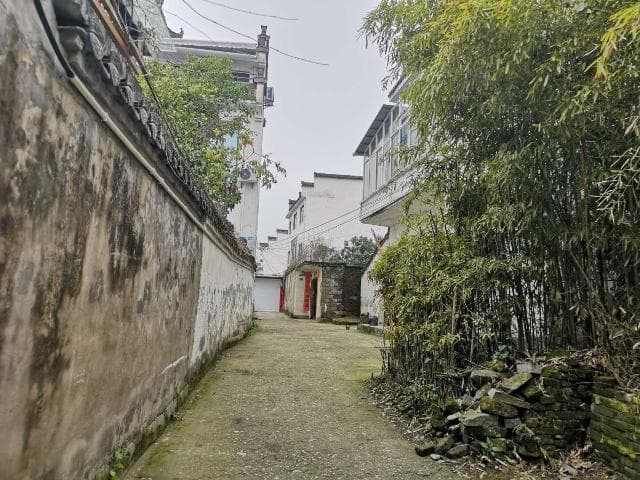 以乡风文明引领乡村振兴