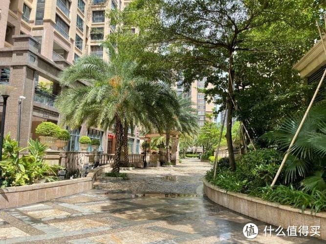 探索中国非物质文化遗产的精湛工艺