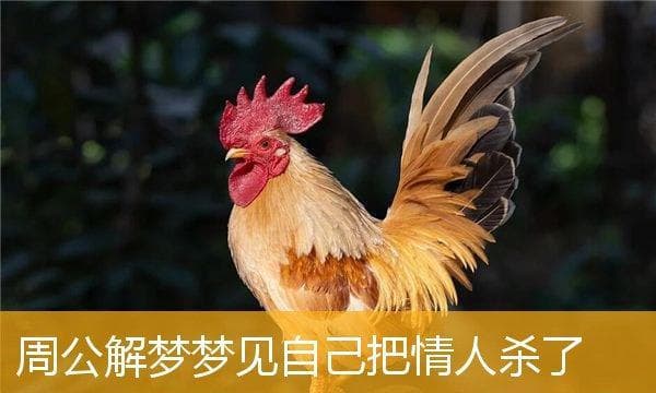 梦见自己杀了人的寓意