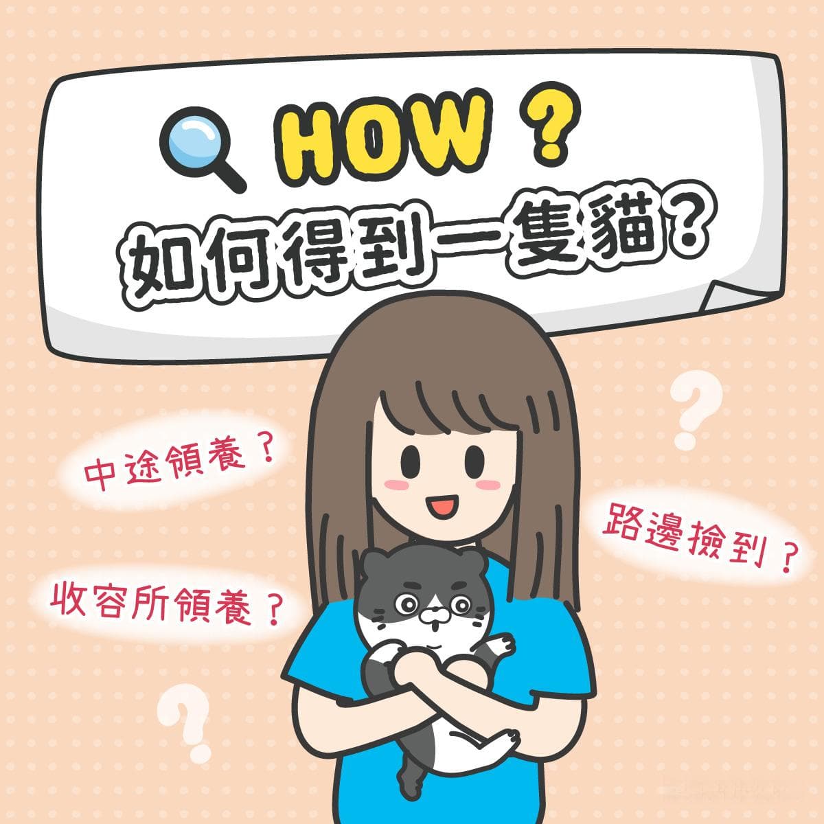 如何得到一只猫？捡到？中途领养？收容所领养？