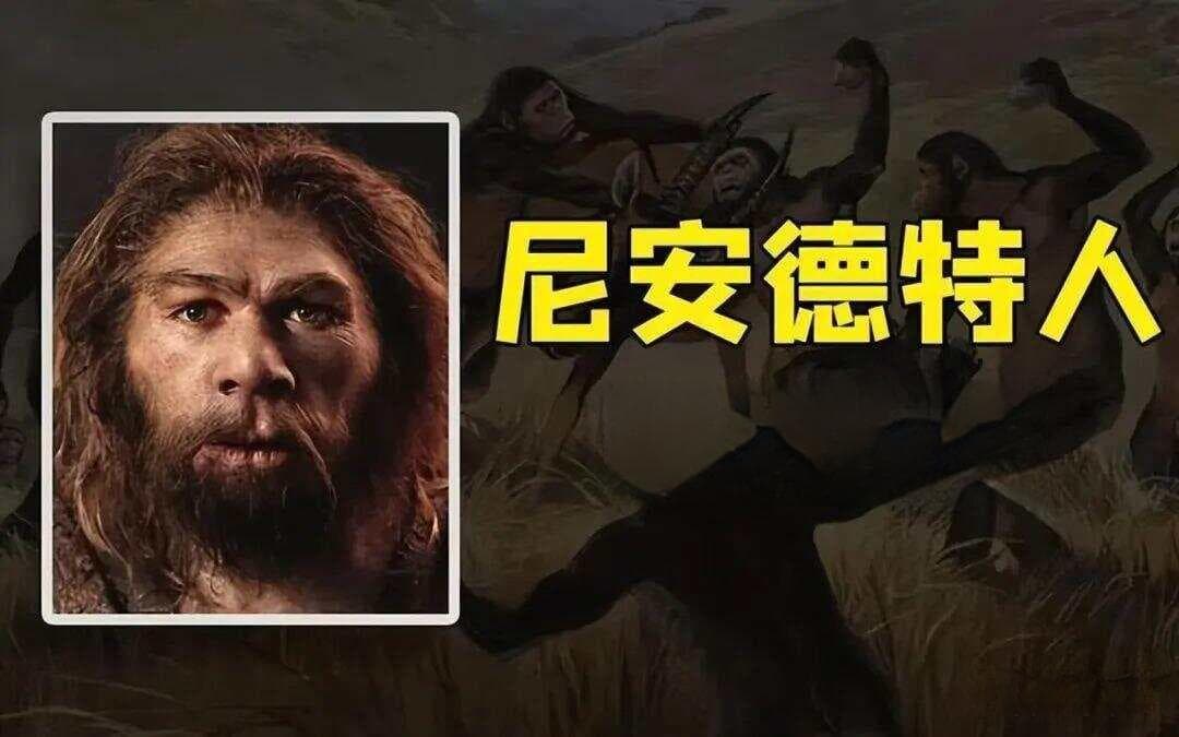 【原】尼安德特人在欧洲生活了长达20万年，为何没能进化出智慧文明？