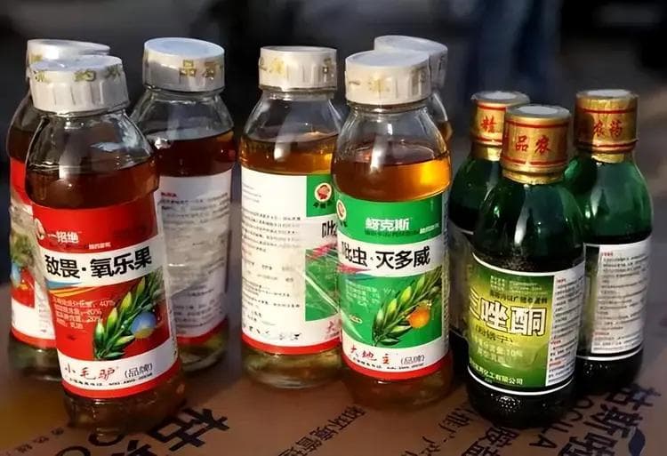 十大毒性最强农药