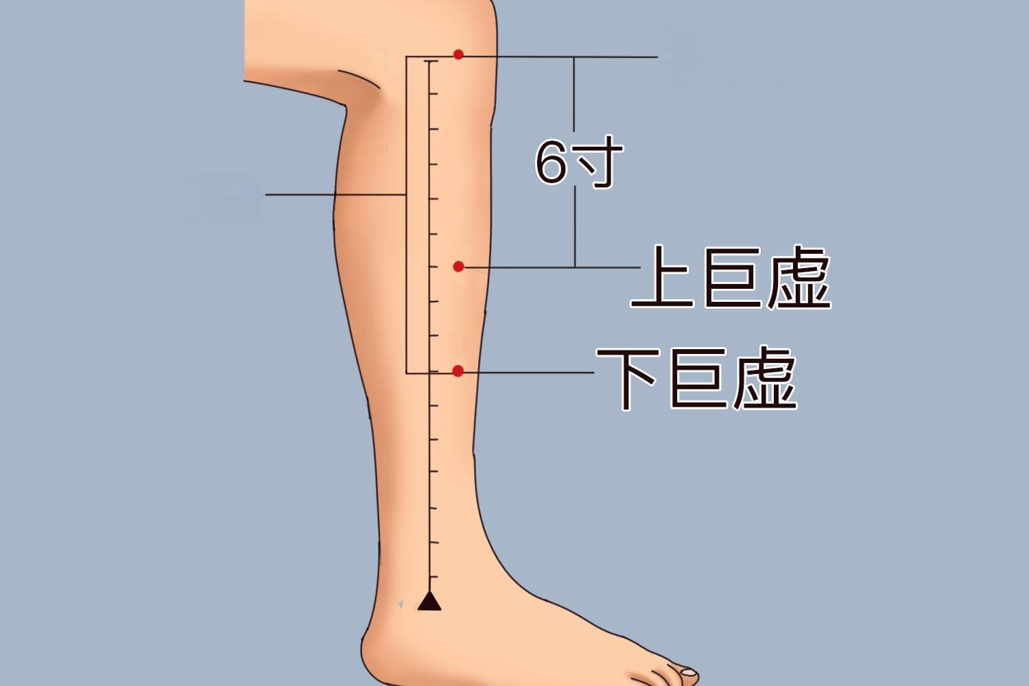 邹玮伦教你用上巨虚穴缓解总想大便