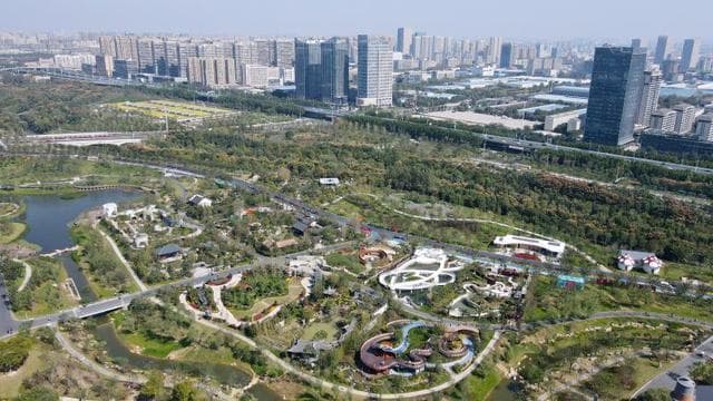 从骆岗公园，看到合肥的勃勃雄心
