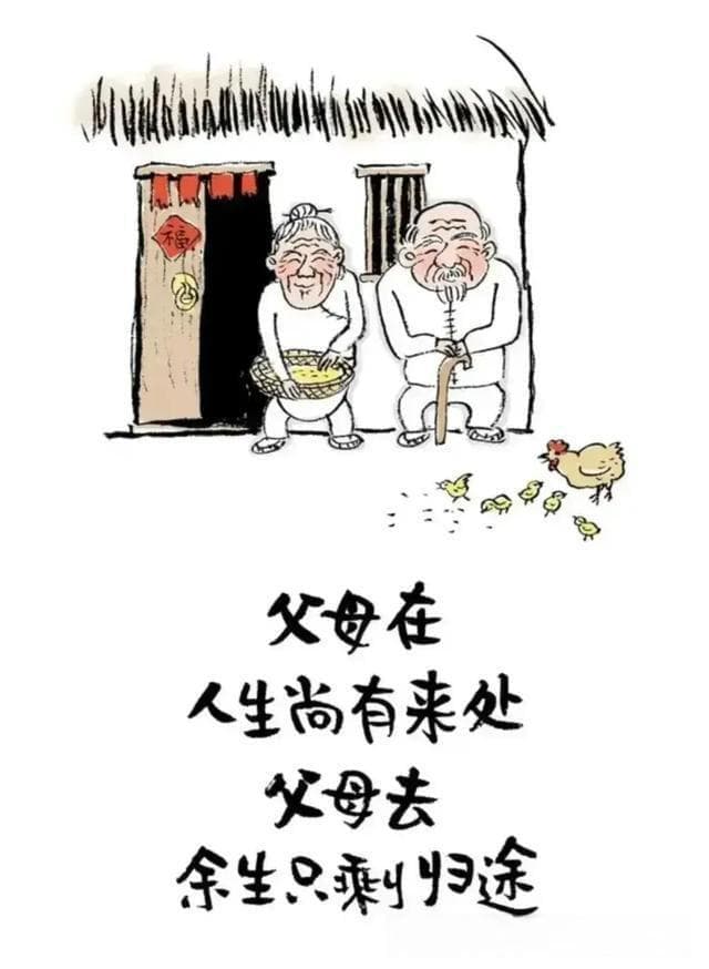 子欲养而亲不待：请珍惜与父母共度的每一刻