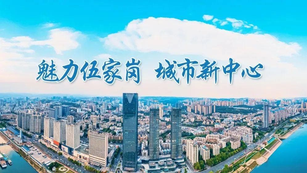 掌握预防登革热“情报”，直捣蚊子老巢！