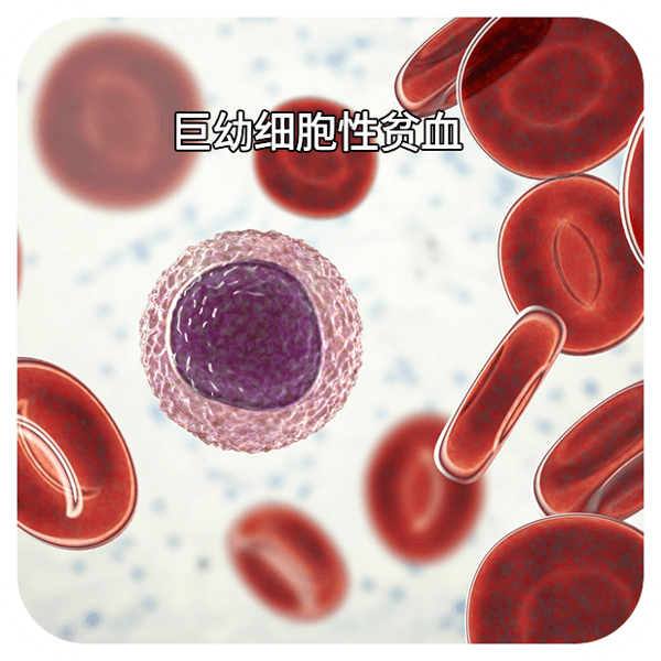 有核细胞总数高怎么回事