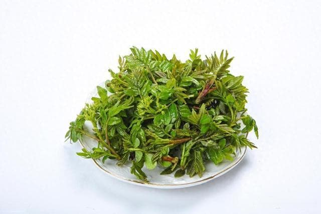 没有一棵野菜能逃出春天，这届年轻人咋对野菜 “上头” 了？