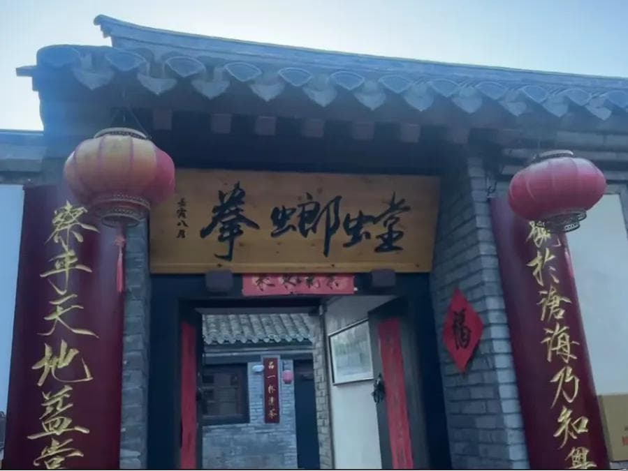 传承300多年！感受螳螂拳一招一式间的力量与美学