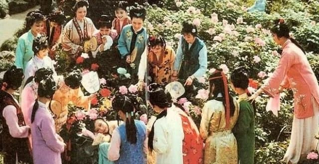 红楼梦：细说"千红一哭"与"万艳同悲"