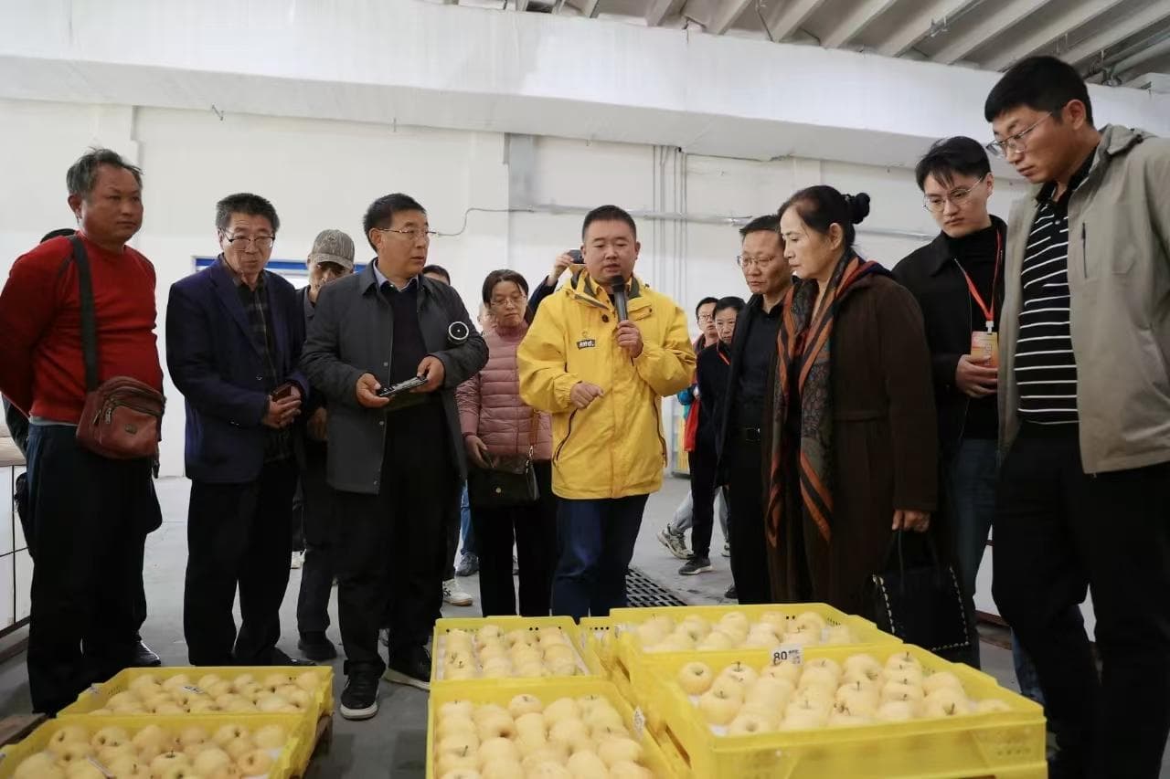 中国苹果产量蝉联世界第一
