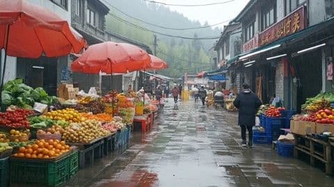 广西至云南自驾车旅游攻略：行程时间详解与最佳路线推荐