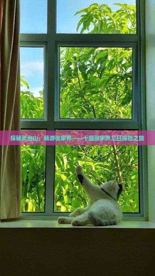 探秘武当山，畅游张家界——十堰张家界三日探险之旅