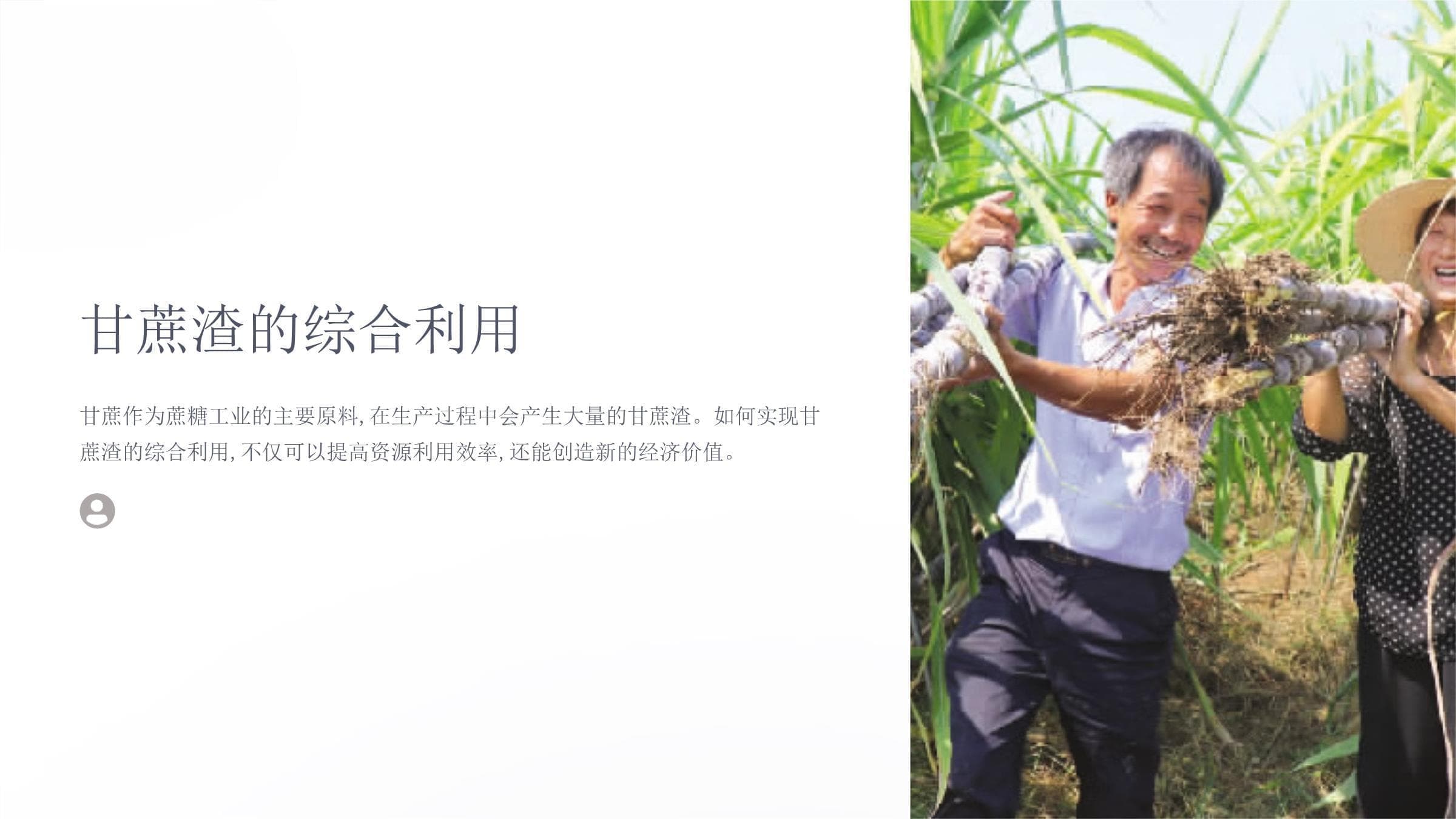 甘蔗渣的综合利用