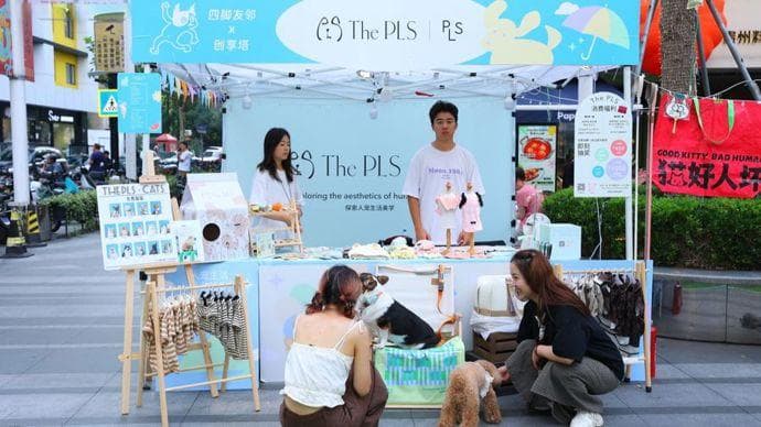 建立宠物驿站、人宠友好居委会……“人宠双向友好”社区该如何打造？