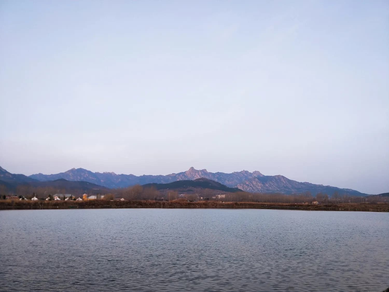 阳新县“山水湖乡情”：一个亿元级农产品品牌的崛起之路
