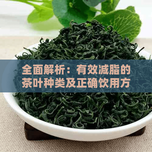 全面解析：有效减脂的茶叶种类及正确饮用方法