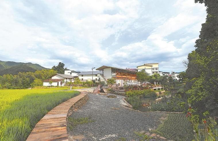 邵武庭院经济：小空间释放乡村振兴大潜力