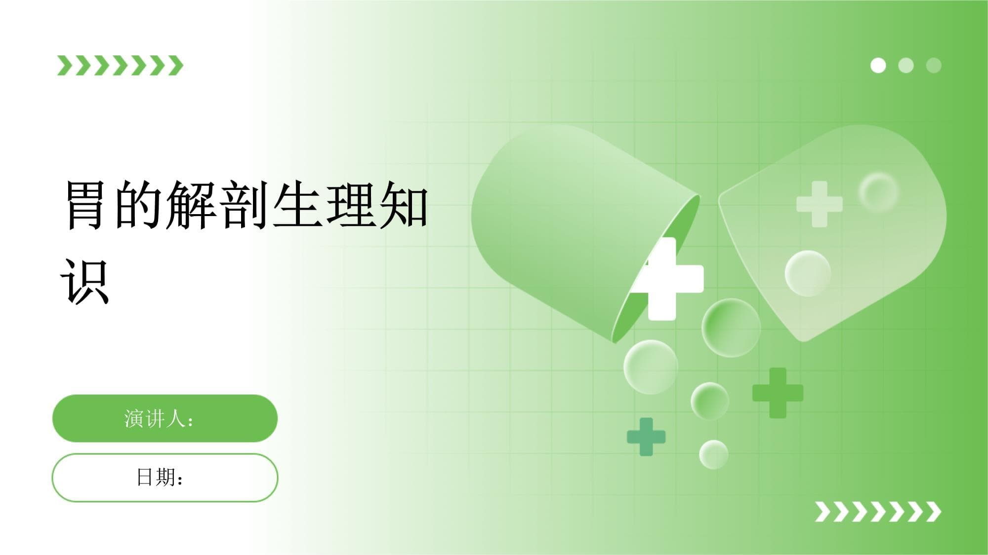 胃的解剖生理知识