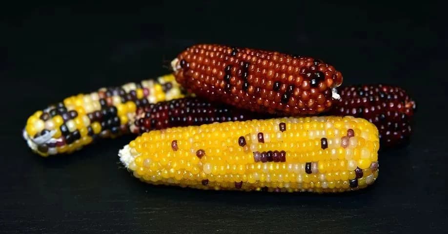 护眼必备：这些食物和方法让你远离视疲劳