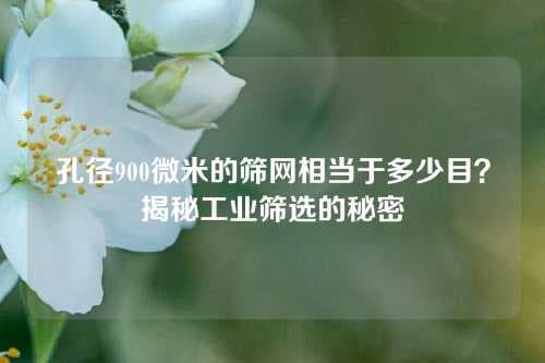 孔径900微米的筛网相当于多少目？揭秘工业筛选的秘密