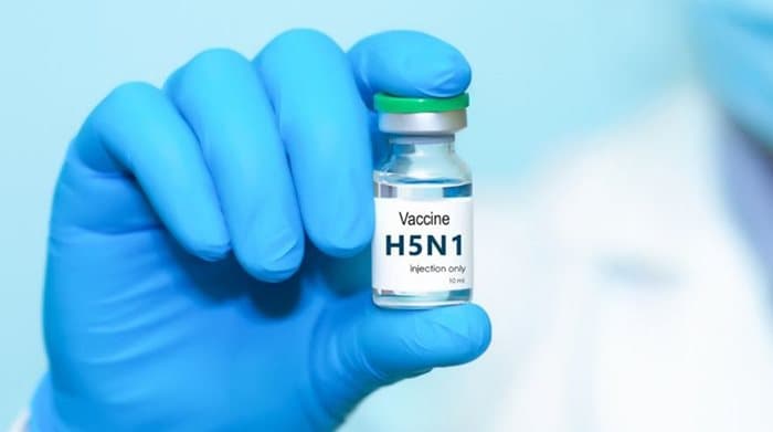 H5N1禽流感疫苗：现状如何？