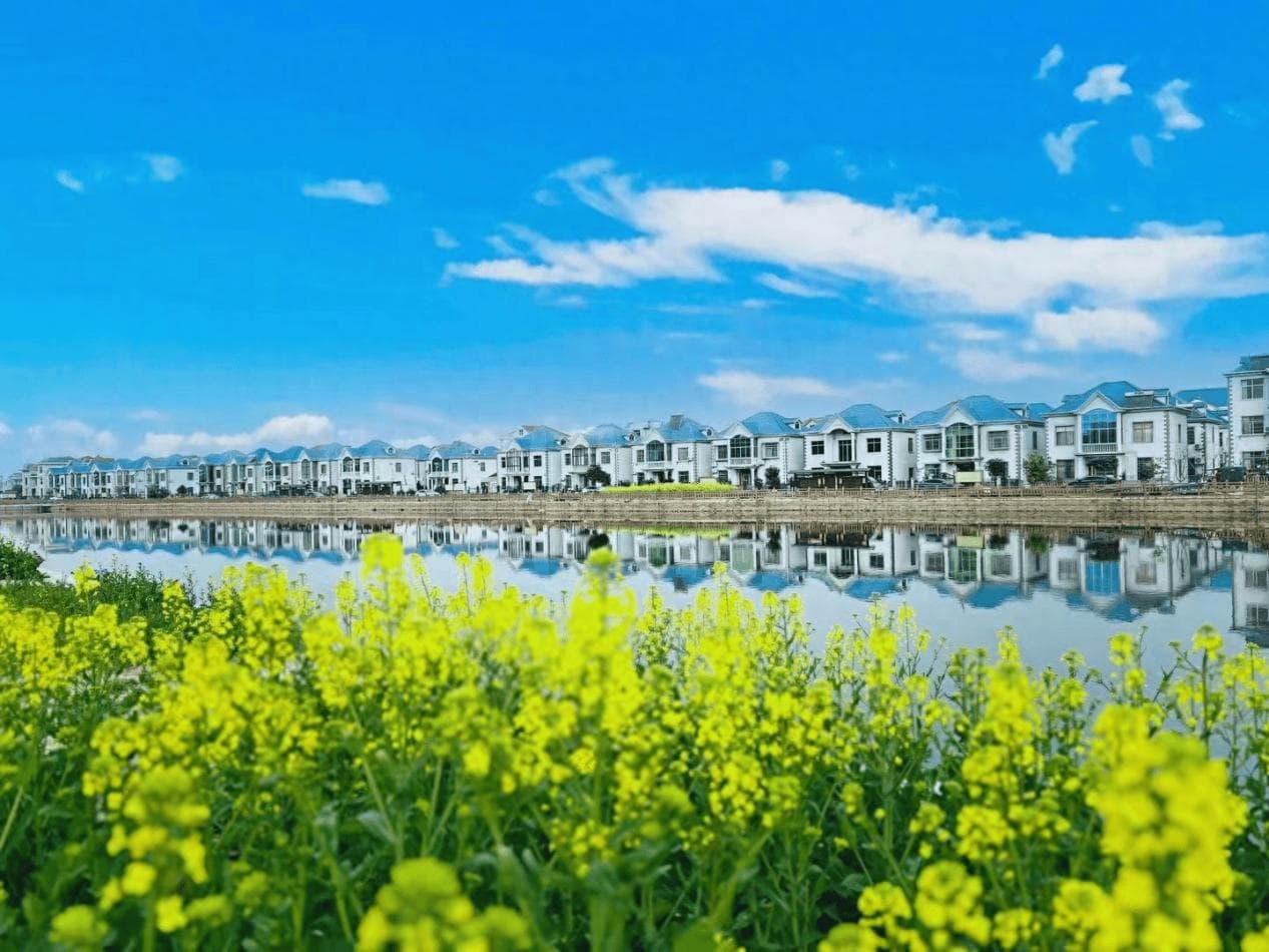 南昌县蒋巷镇：“油菜+”经济促农文旅融合发展