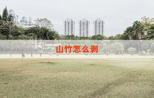 山竹怎么剥？完整步骤指南