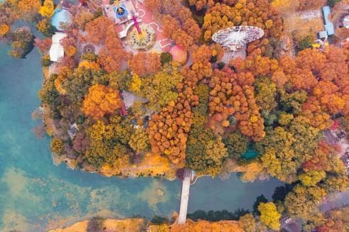 江城武汉的绚丽秋景已惊艳上线，武汉这7个地方的绝美秋色不可错过