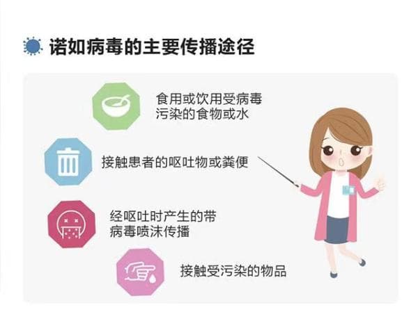 诺如病毒预防小知识