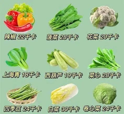 体重减不下来？突破减肥“平台期”，研究发现高效燃烧卡路里的新思路