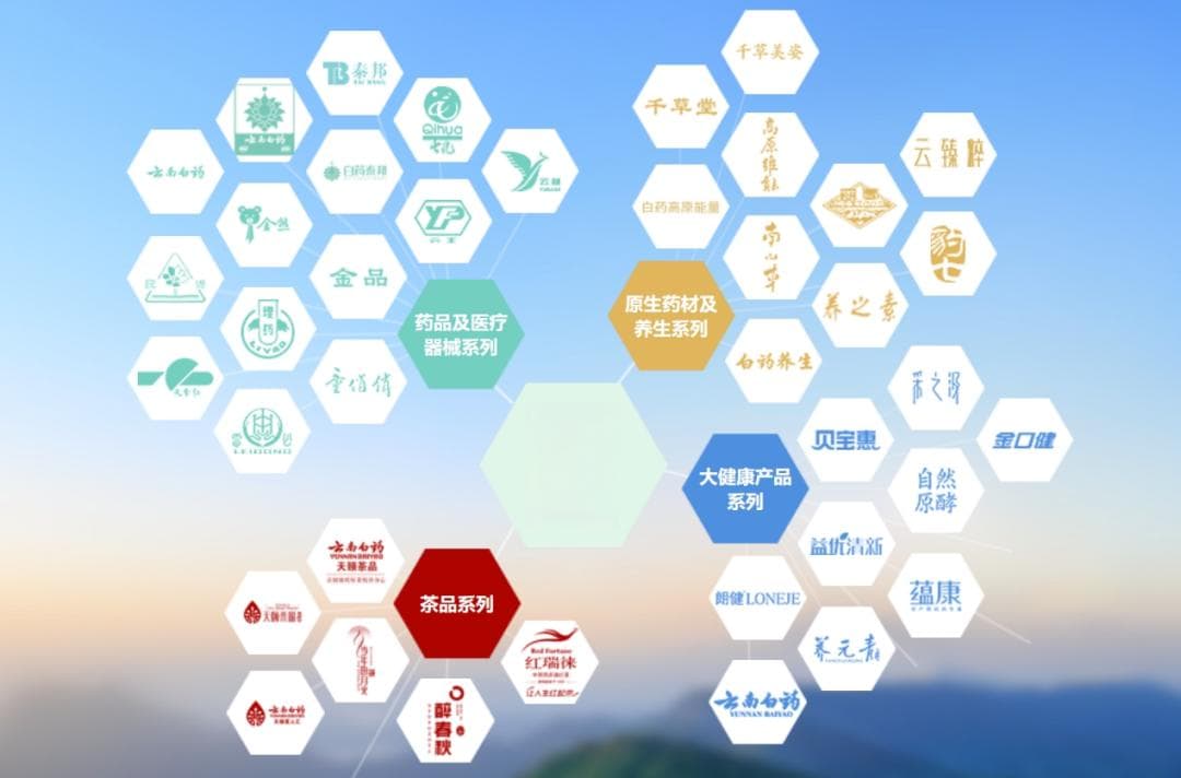 云南白药爆发窝案，原董事长王明辉等5名前高管被查