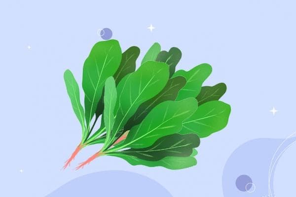 牛肉菠菜搭配有讲究：提升铁吸收，5种食物要远离