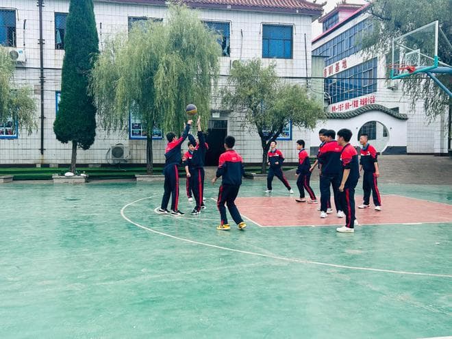 育儿：复旦教授沈奕斐的“四步走”策略，教你如何应对孩子被欺负