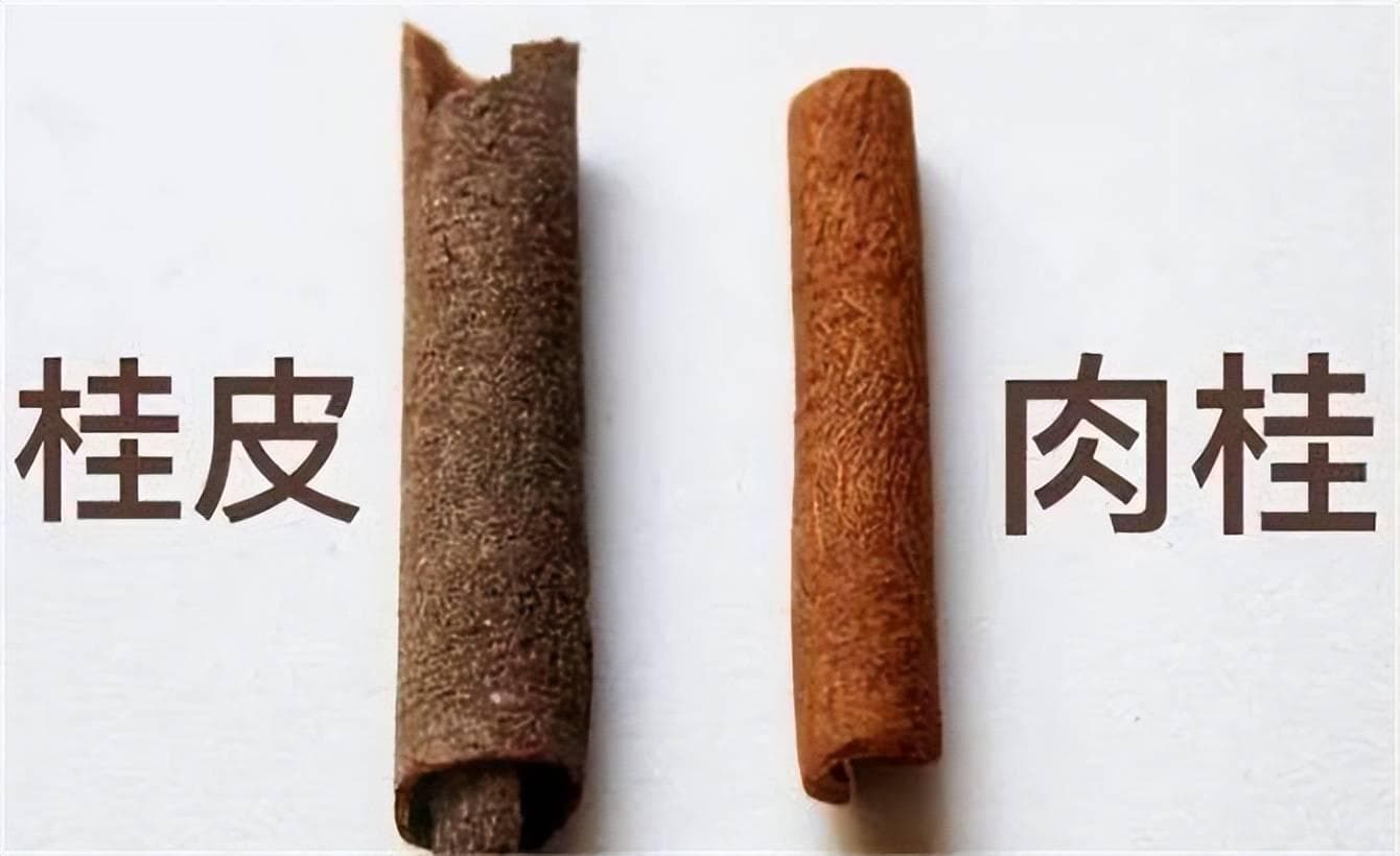 肉桂和桂皮一字之差，用途却截然相反，深度解读肉桂和桂皮的区别