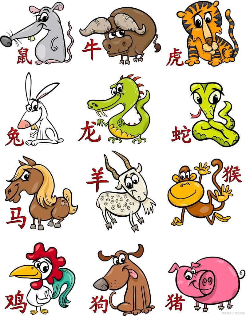 华北的生肖文化：传统与现代的交融