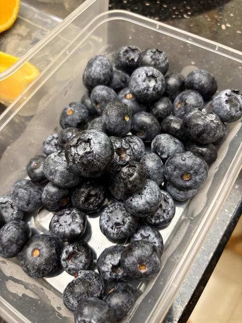 新鲜蓝莓的保存方法与期限