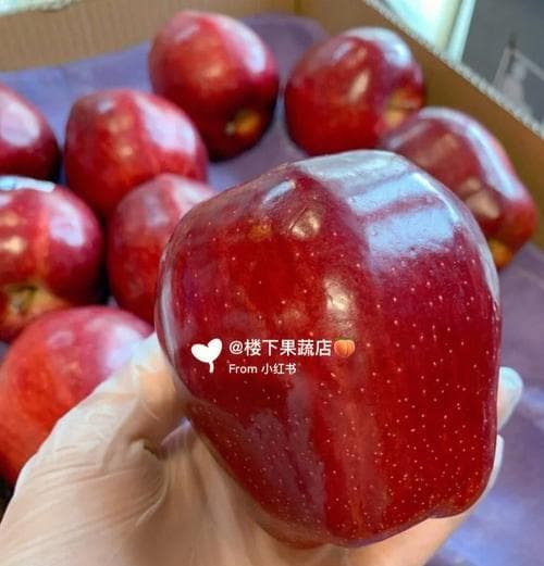 了解蛇果的多种别名和特性（味道独特，富含营养，多用途的水果）