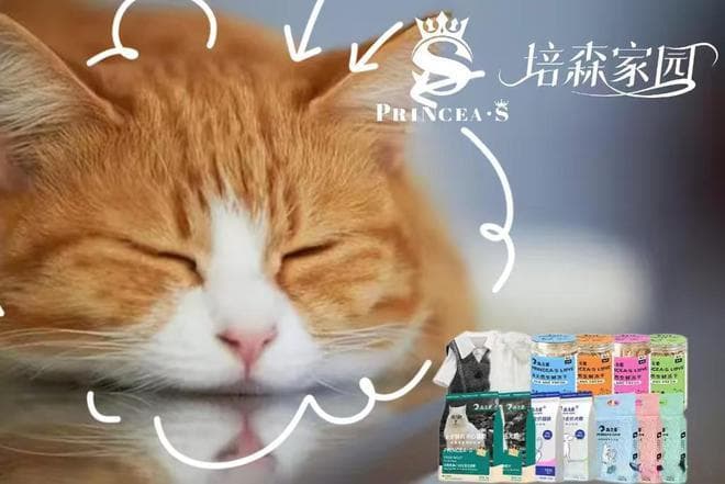 猫咪打喷嚏的六大原因及处理方法