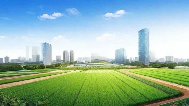 公司+农户模式全解析：优势、运作机制与成功案例
