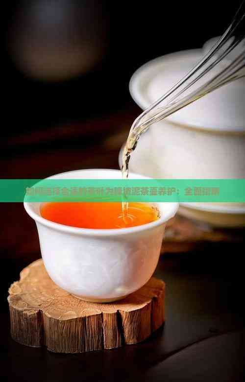如何选择合适的茶叶为降坡泥茶壶养护：全面指南