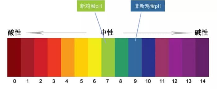为了教你正确地给鸡蛋剥壳，科学家煮了540个鸡蛋