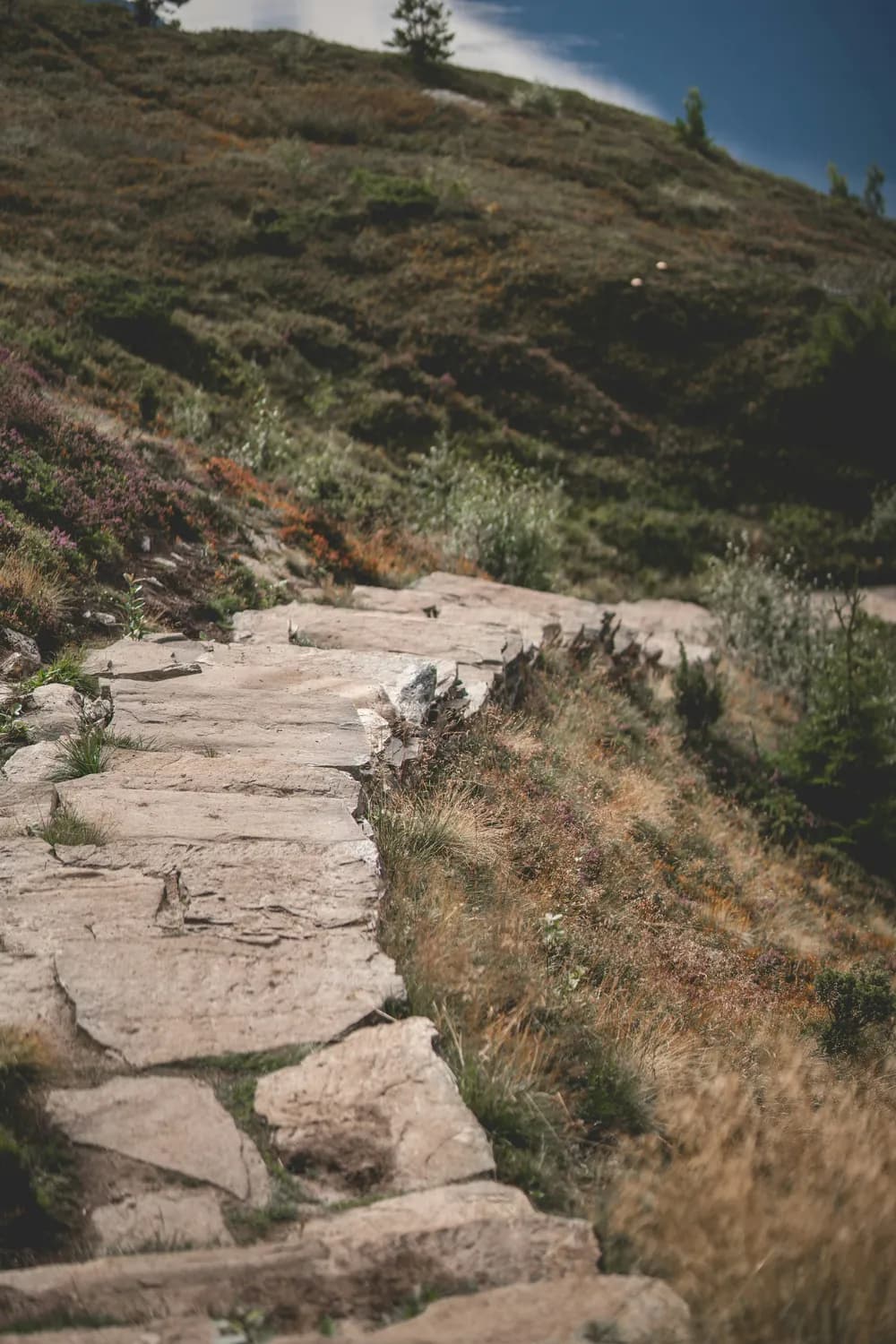 泰山登山：一场身心的双重洗礼
